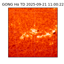 gong - 2025-09-21T11:00:22