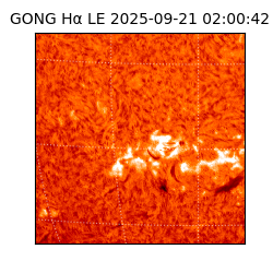 gong - 2025-09-21T02:00:42