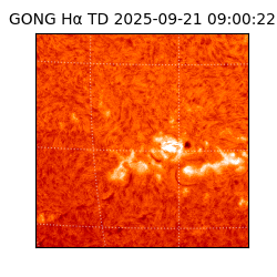 gong - 2025-09-21T09:00:22