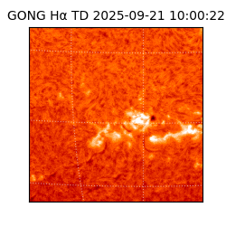 gong - 2025-09-21T10:00:22