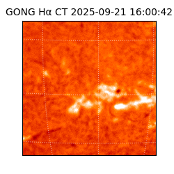 gong - 2025-09-21T16:00:42