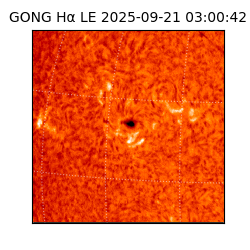 gong - 2025-09-21T03:00:42