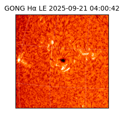 gong - 2025-09-21T04:00:42