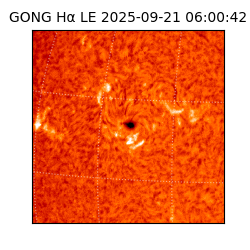 gong - 2025-09-21T06:00:42