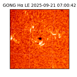 gong - 2025-09-21T07:00:42