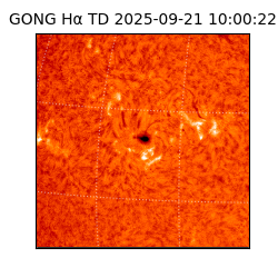 gong - 2025-09-21T10:00:22