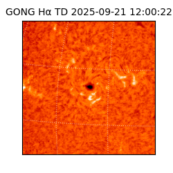 gong - 2025-09-21T12:00:22