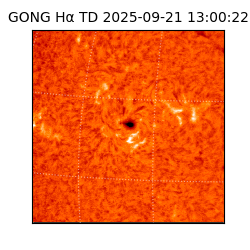 gong - 2025-09-21T13:00:22