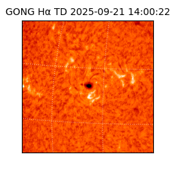 gong - 2025-09-21T14:00:22