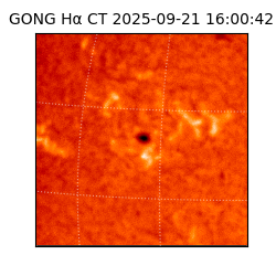 gong - 2025-09-21T16:00:42