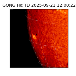 gong - 2025-09-21T12:00:22