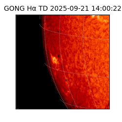 gong - 2025-09-21T14:00:22