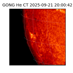 gong - 2025-09-21T20:00:42