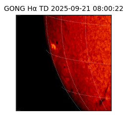 gong - 2025-09-21T08:00:22