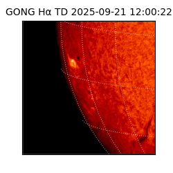 gong - 2025-09-21T12:00:22