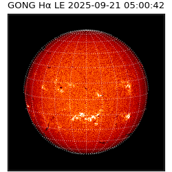 gong - 2025-09-21T05:00:42
