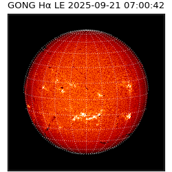 gong - 2025-09-21T07:00:42