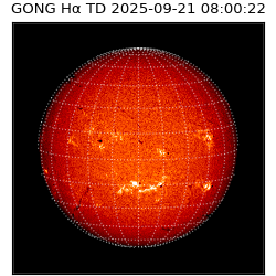 gong - 2025-09-21T08:00:22