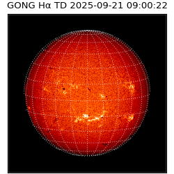 gong - 2025-09-21T09:00:22