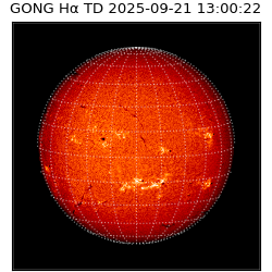 gong - 2025-09-21T13:00:22