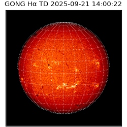 gong - 2025-09-21T14:00:22