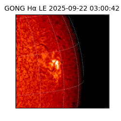 gong - 2025-09-22T03:00:42