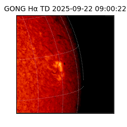 gong - 2025-09-22T09:00:22