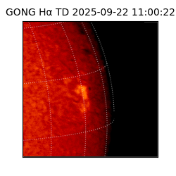 gong - 2025-09-22T11:00:22