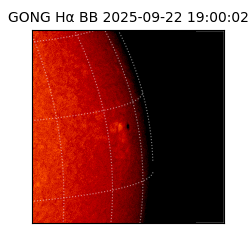gong - 2025-09-22T19:00:02