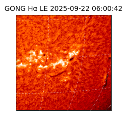 gong - 2025-09-22T06:00:42