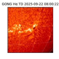 gong - 2025-09-22T08:00:22