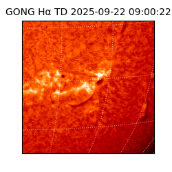 gong - 2025-09-22T09:00:22