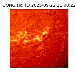 gong - 2025-09-22T11:00:22