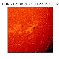 gong - 2025-09-22T19:00:02