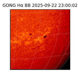 gong - 2025-09-22T23:00:02