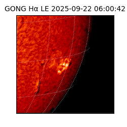 gong - 2025-09-22T06:00:42
