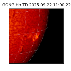 gong - 2025-09-22T11:00:22