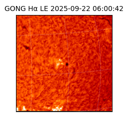 gong - 2025-09-22T06:00:42