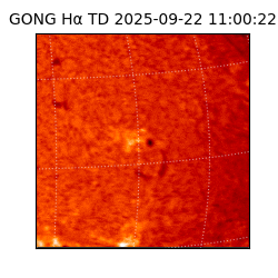 gong - 2025-09-22T11:00:22