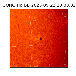 gong - 2025-09-22T19:00:02