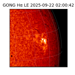 gong - 2025-09-22T02:00:42