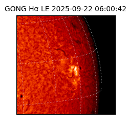 gong - 2025-09-22T06:00:42