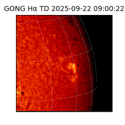 gong - 2025-09-22T09:00:22
