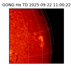 gong - 2025-09-22T11:00:22
