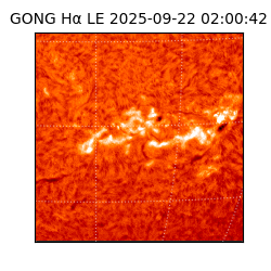 gong - 2025-09-22T02:00:42