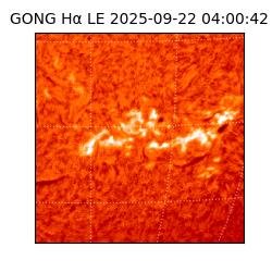 gong - 2025-09-22T04:00:42