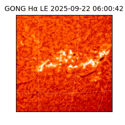 gong - 2025-09-22T06:00:42