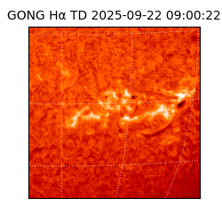 gong - 2025-09-22T09:00:22