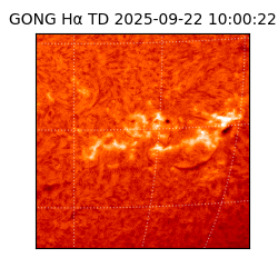 gong - 2025-09-22T10:00:22