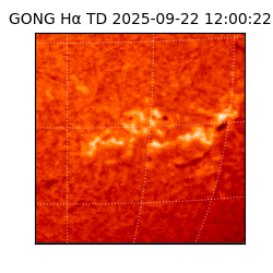 gong - 2025-09-22T12:00:22